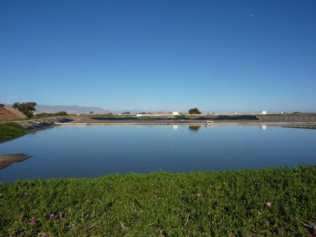 Efluentes biológicos